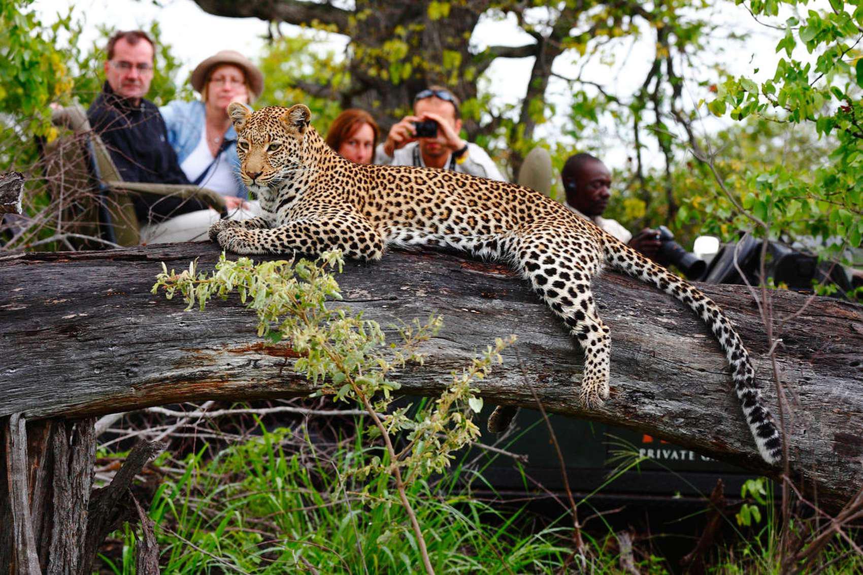 Kumana National Park Safari