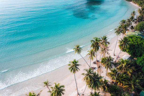 Beach Tours